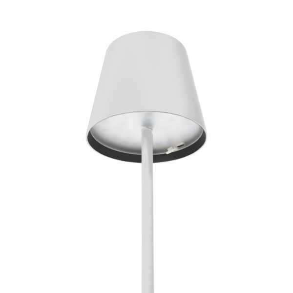 PTL44W- LED LAMP